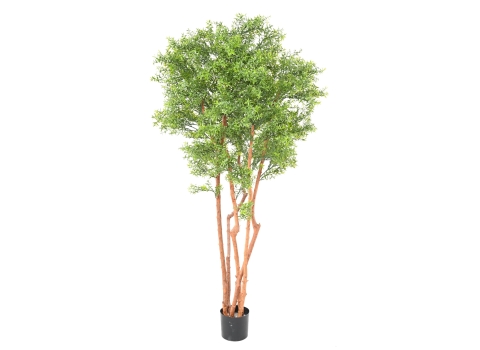 Eucalyptus artificiel - Hauteur : 180 cm