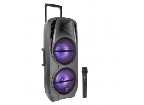 Sono lumineuse autonome 600 w + un Micro sans fil 