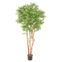 Eucalyptus artificiel - Hauteur : 180 cm